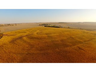 Property photo 36 - LAND AUCTION - 664+/- ACRES OFFERED IN 17 TRACTS IN CASS CO., NEBRASKA